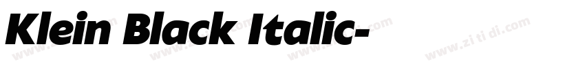 Klein Black Italic字体转换 Klein Black Italic字体转换